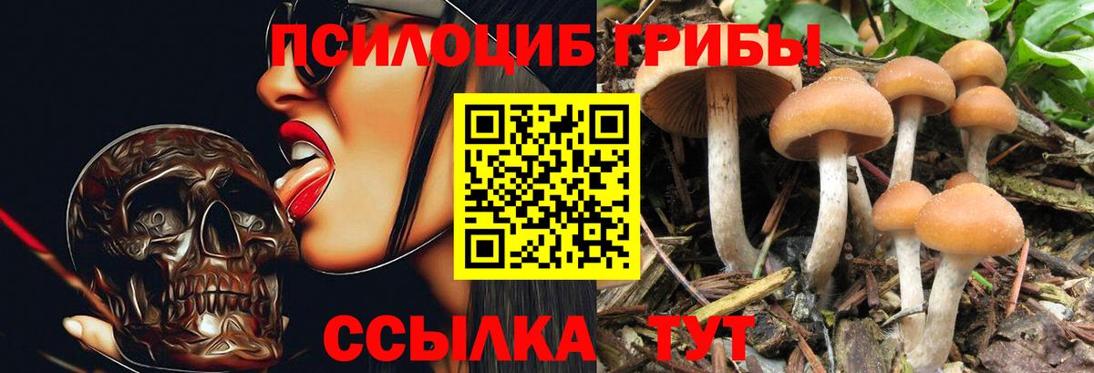 Псилоцибиновые грибы Cubensis  Галлюциногенные грибы Cubensis  Вход с VPN  Юрга 