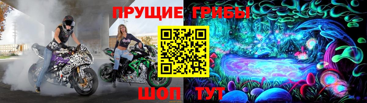 Галлюциногенные грибы мицелий Юрга