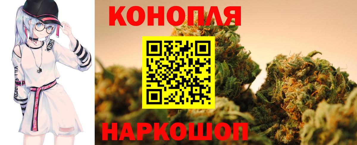 Шишки марихуана план Юрга